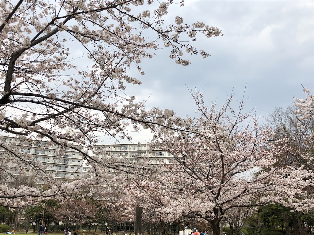 f:id:ABi-R:20190328220939j:image f:id:ABi-R:20190328220939j:image