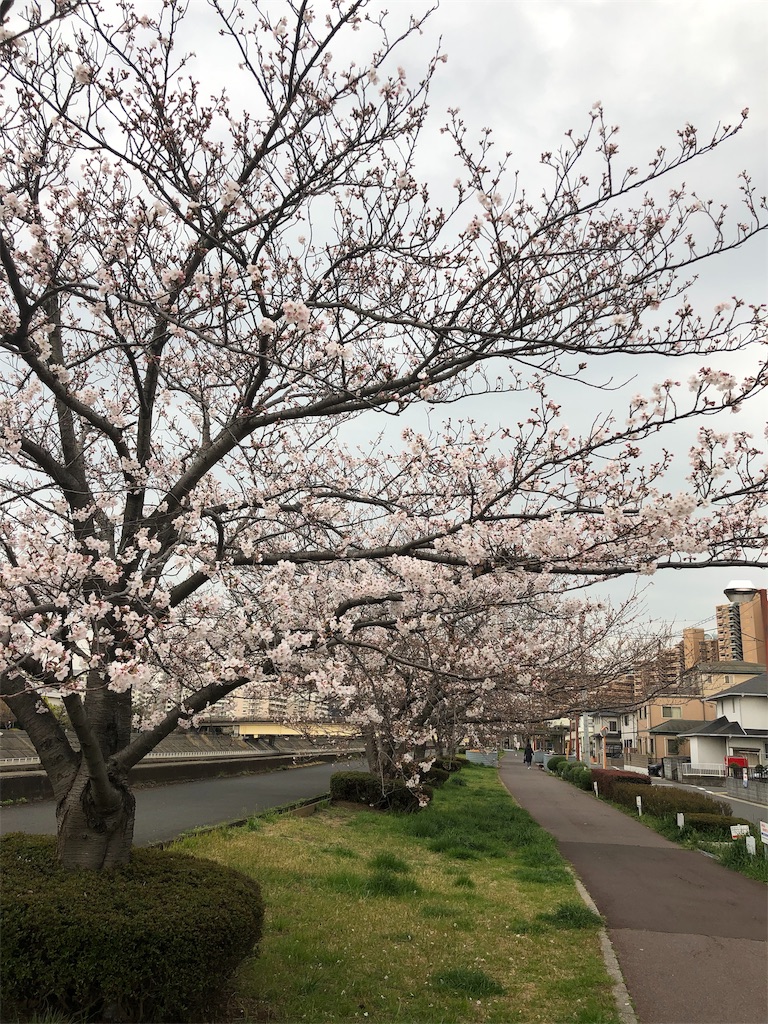f:id:ABi-R:20190328221344j:image f:id:ABi-R:20190328221344j:image