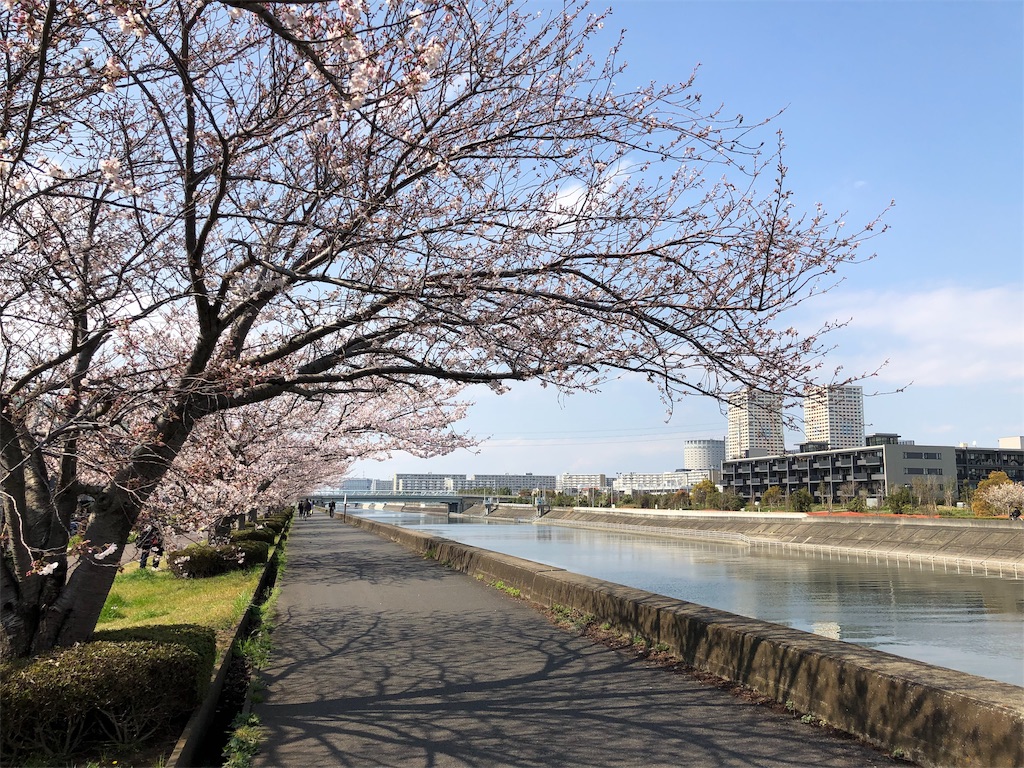 f:id:ABi-R:20190331213717j:image f:id:ABi-R:20190331213717j:image