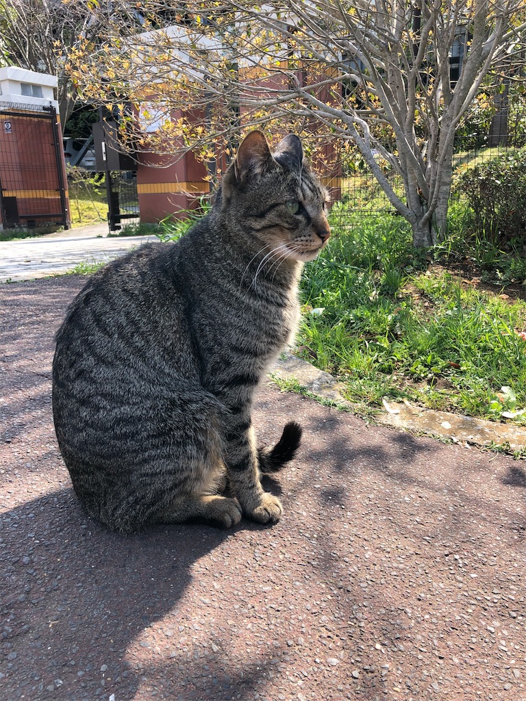 f:id:ABi-R:20190331213721j:image f:id:ABi-R:20190331213721j:image