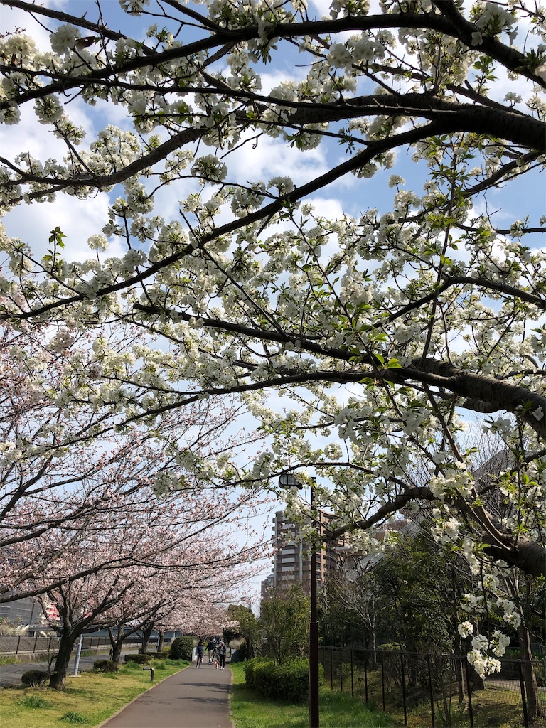 f:id:ABi-R:20190331213725j:image f:id:ABi-R:20190331213725j:image