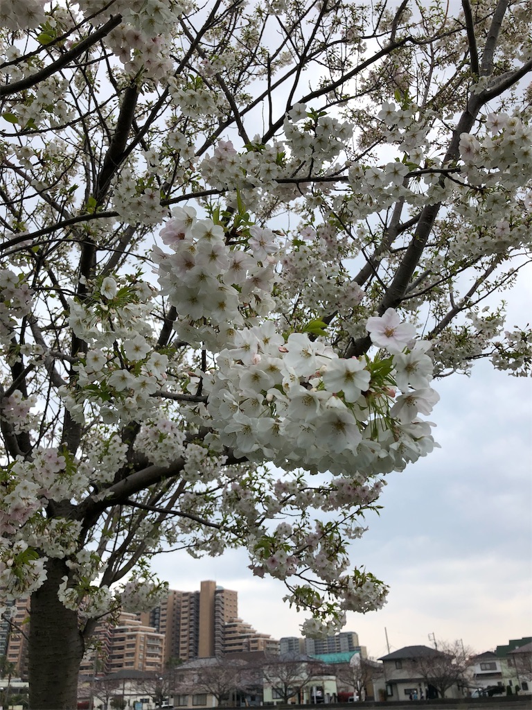f:id:ABi-R:20190331213730j:image f:id:ABi-R:20190331213730j:image
