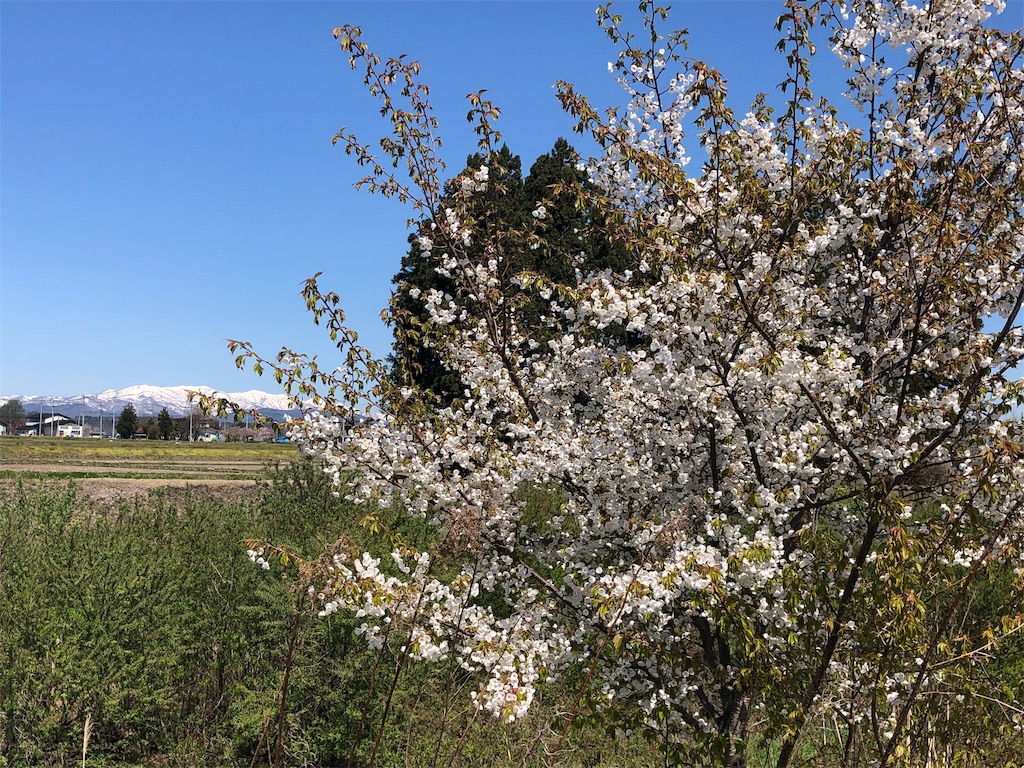 f:id:ABi-R:20190506162453j:plain f:id:ABi-R:20190506162453j:plain