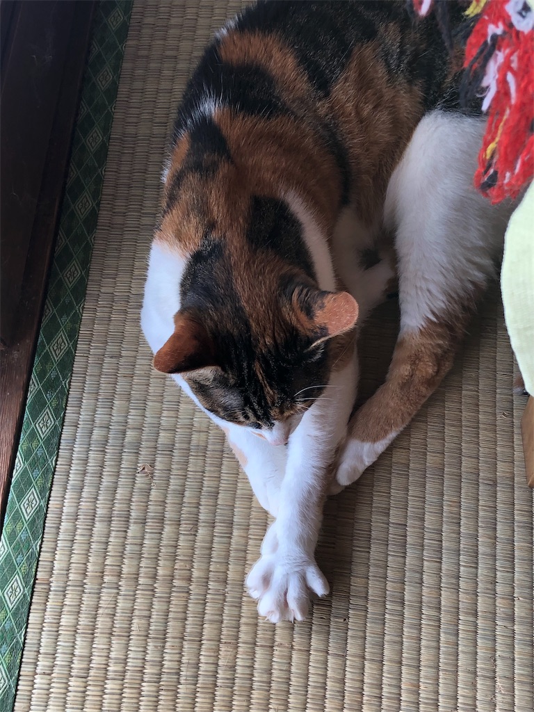 f:id:ABi-R:20190911230802j:image f:id:ABi-R:20190911230802j:image