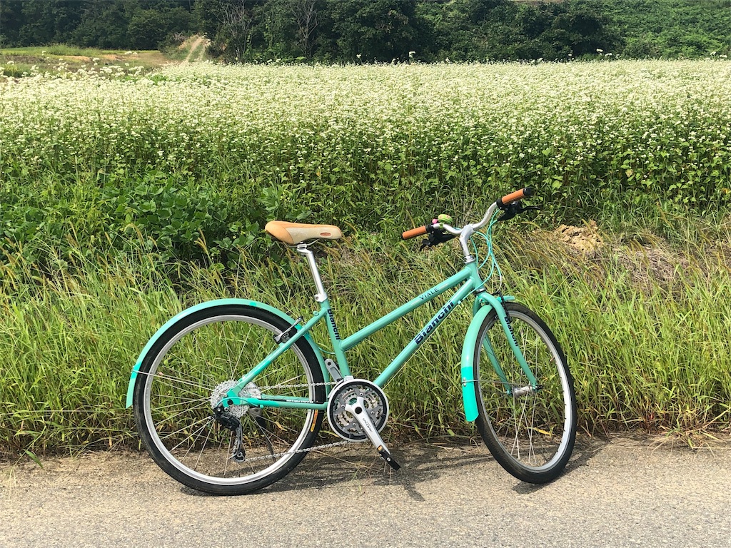 f:id:ABi-R:20190913121745j:image f:id:ABi-R:20190913121745j:image