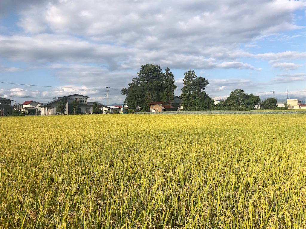 f:id:ABi-R:20190913180351j:image f:id:ABi-R:20190913180351j:image