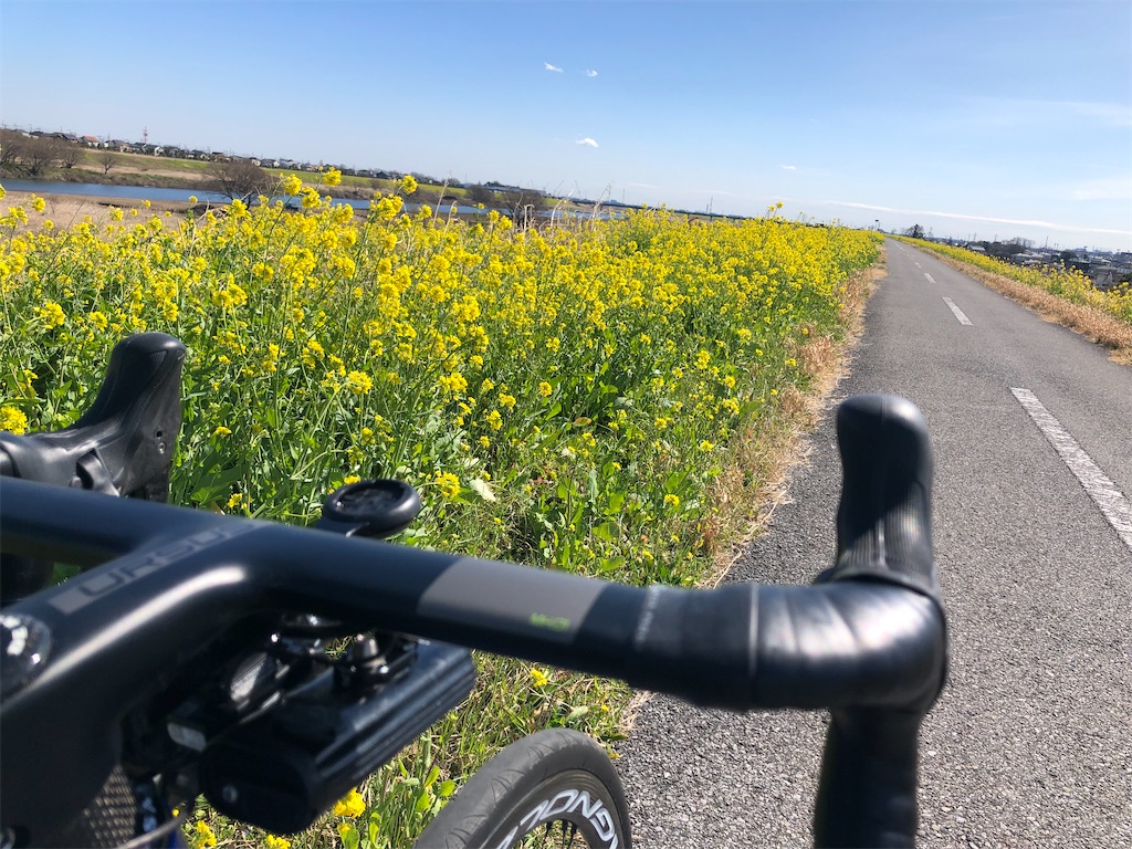 f:id:ABi-R:20200229071000j:image f:id:ABi-R:20200229071000j:image