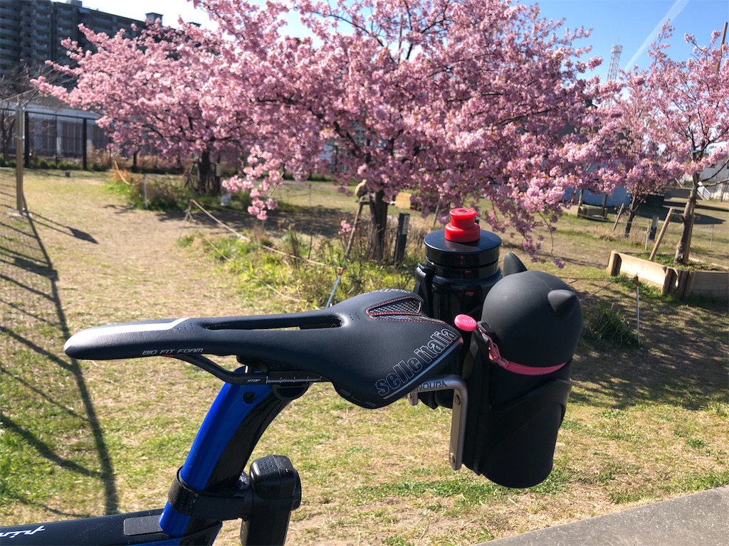 f:id:ABi-R:20200229071019j:image f:id:ABi-R:20200229071019j:image