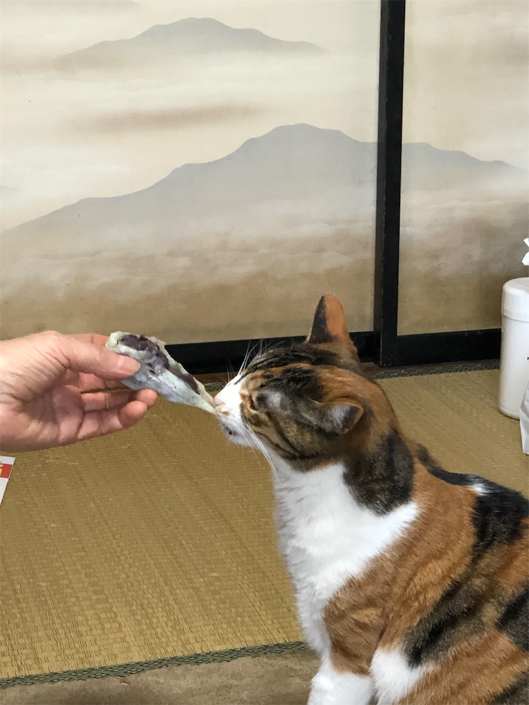 f:id:ABi-R:20200322122543j:image f:id:ABi-R:20200322122543j:image