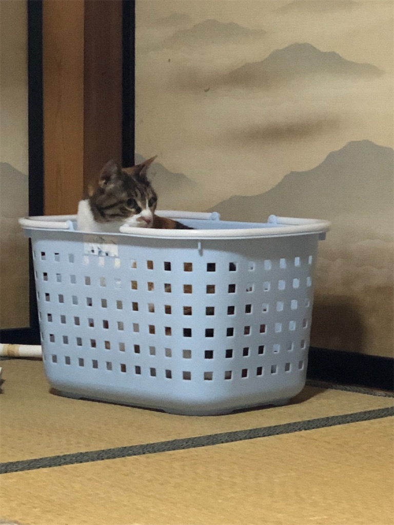 f:id:ABi-R:20200322122552j:image f:id:ABi-R:20200322122552j:image