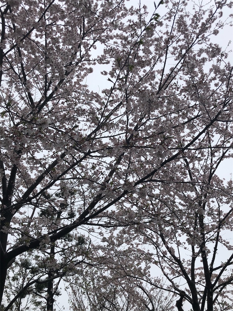 f:id:ABi-R:20200329225104j:image