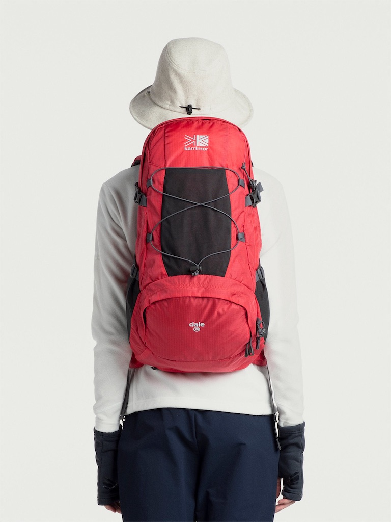 f:id:ABi-R:20200616073239j:plain