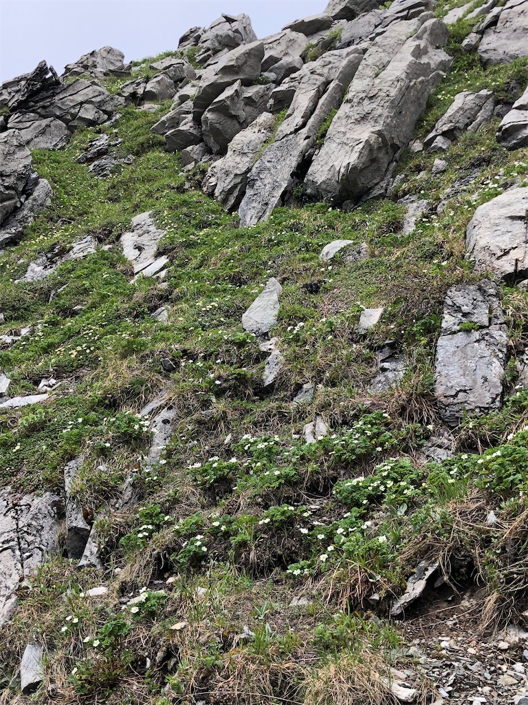 f:id:ABi-R:20200629210732j:image f:id:ABi-R:20200629210732j:image