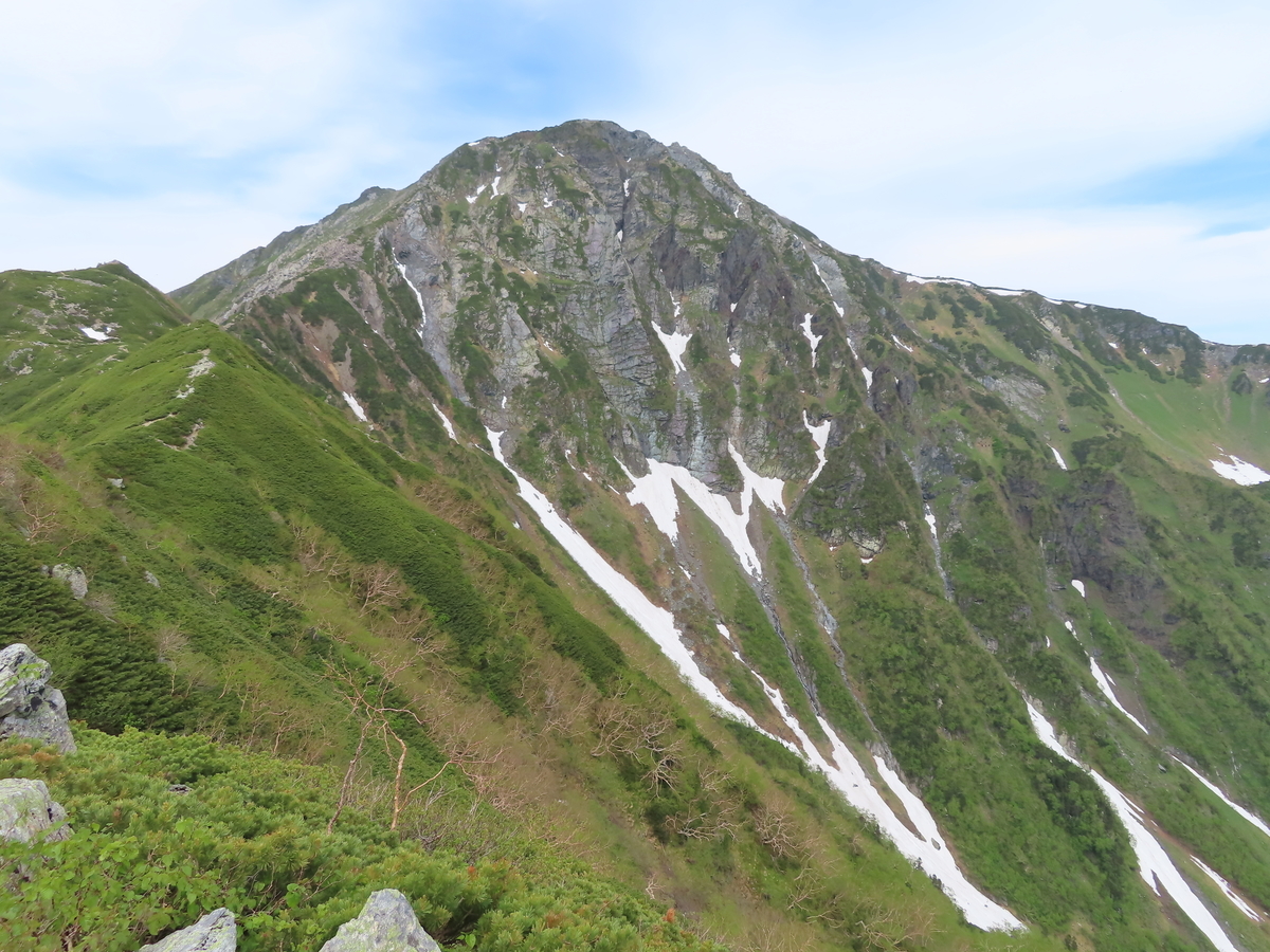 f:id:ABi-R:20200630233351j:plain f:id:ABi-R:20200630233351j:plain