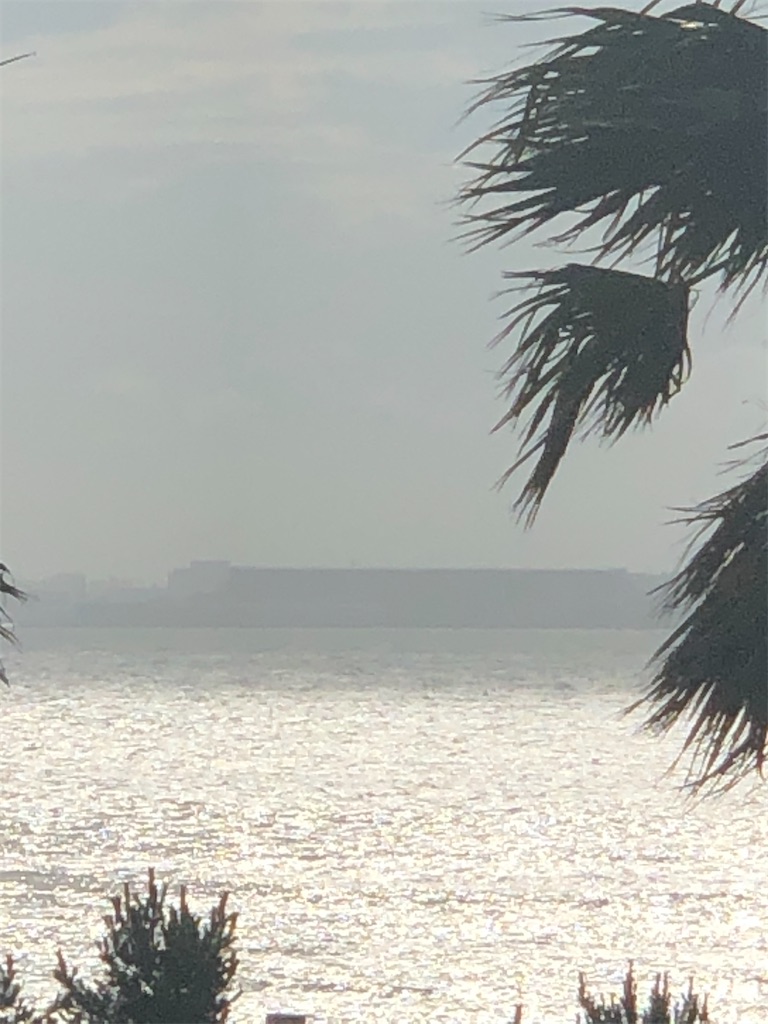 f:id:ABi-R:20200712073703j:image f:id:ABi-R:20200712073703j:image