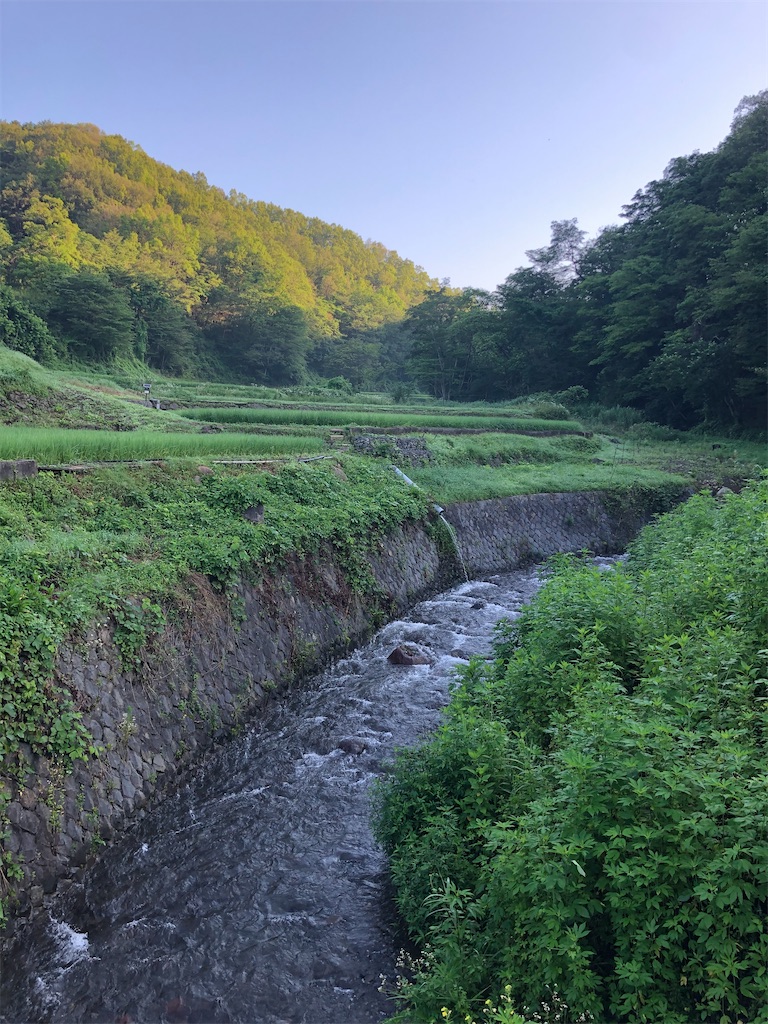 f:id:ABi-R:20200801105405j:image f:id:ABi-R:20200801105405j:image