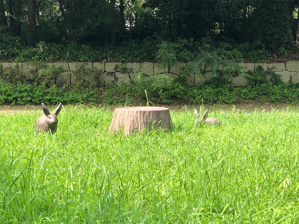 f:id:ABi-R:20200808211154j:image