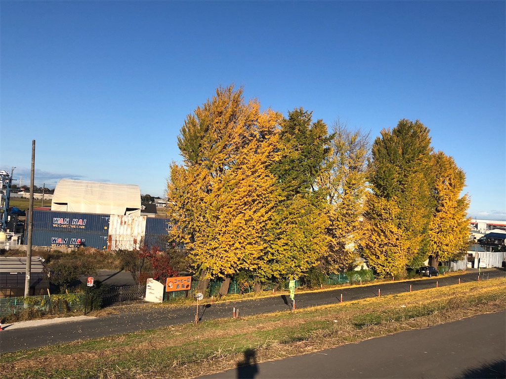 f:id:ABi-R:20201121203821j:image