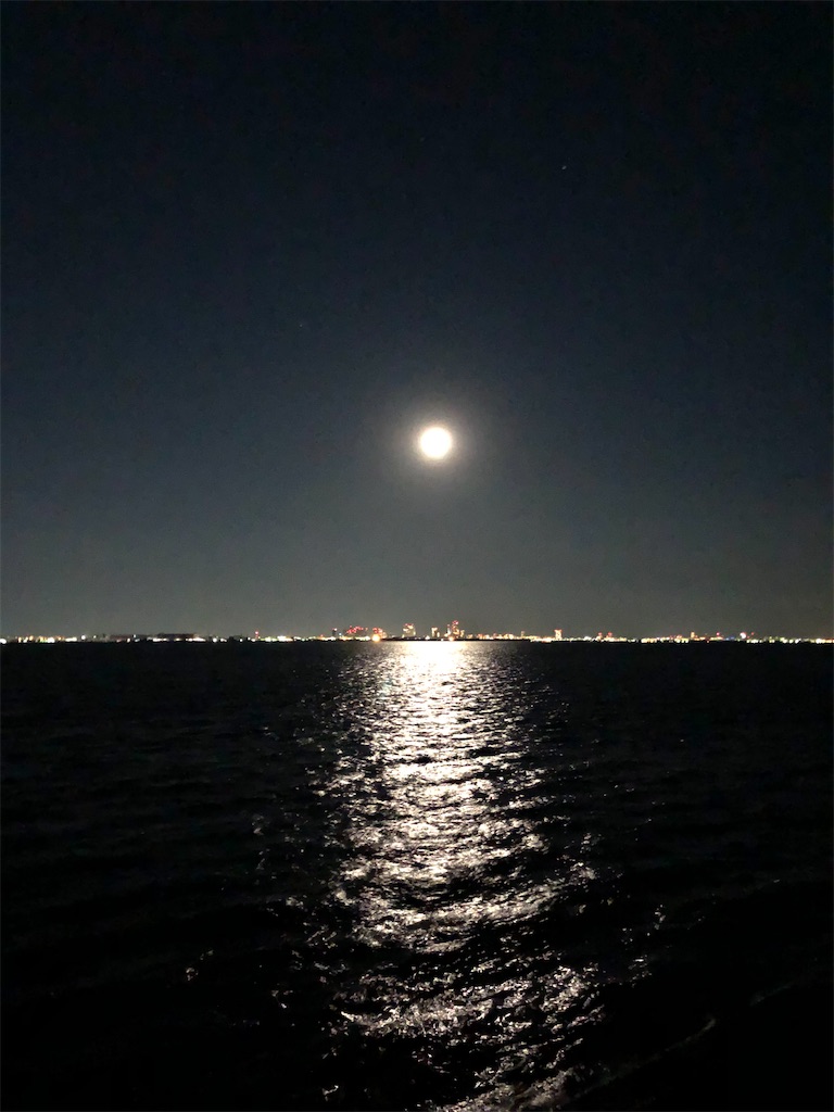 f:id:ABi-R:20210131231647j:image f:id:ABi-R:20210131231647j:image