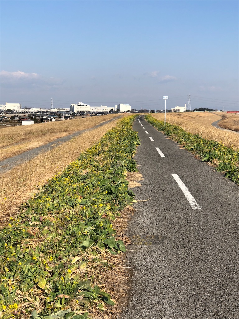 f:id:ABi-R:20210211163642j:image f:id:ABi-R:20210211163642j:image