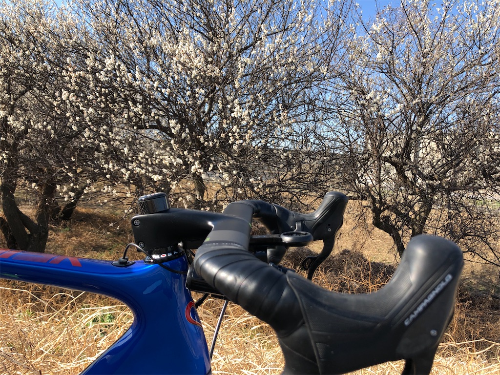 f:id:ABi-R:20210228174904j:image f:id:ABi-R:20210228174904j:image