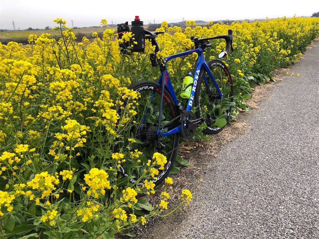 f:id:ABi-R:20210312193844j:image f:id:ABi-R:20210312193844j:image