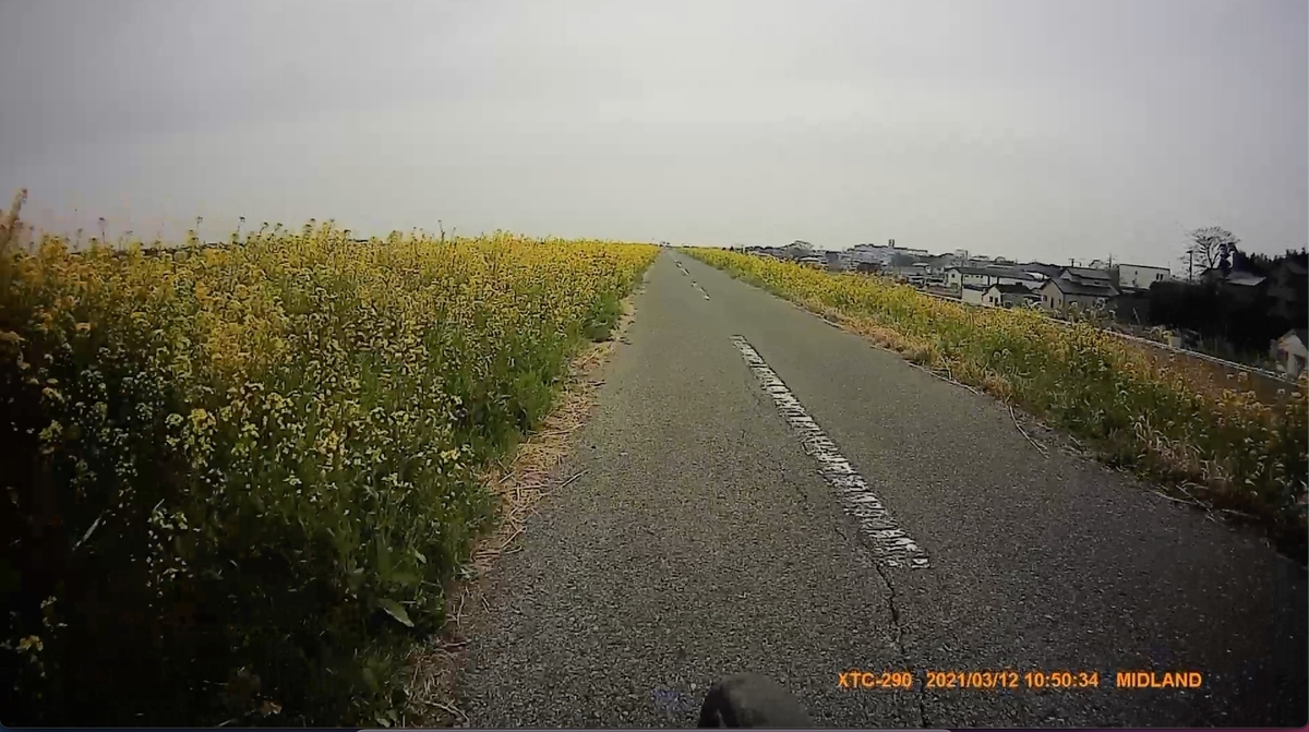 f:id:ABi-R:20210312215747j:plain