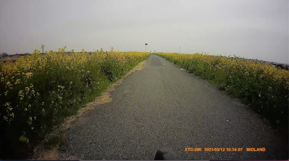 f:id:ABi-R:20210312215815j:plain