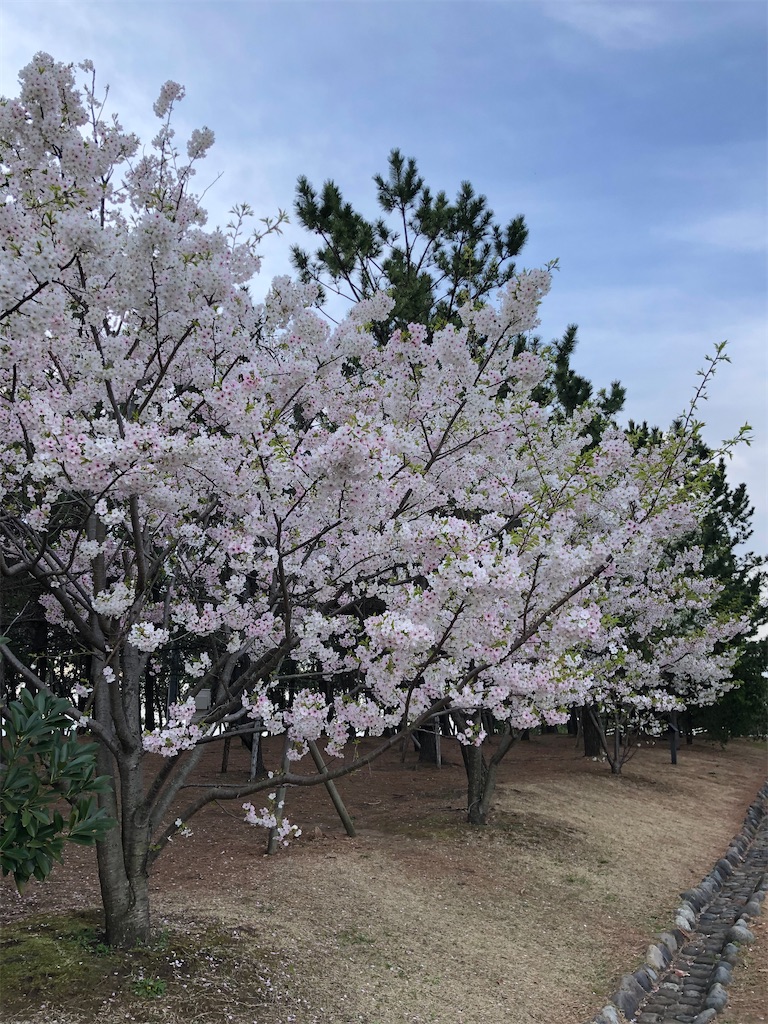 f:id:ABi-R:20210325082914j:image