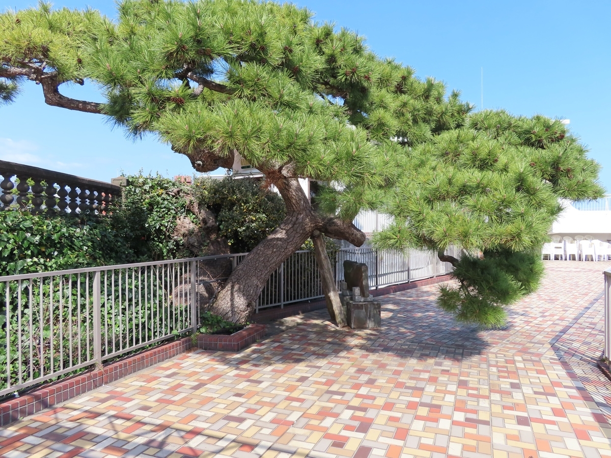 f:id:ABi-R:20210407231556j:plain