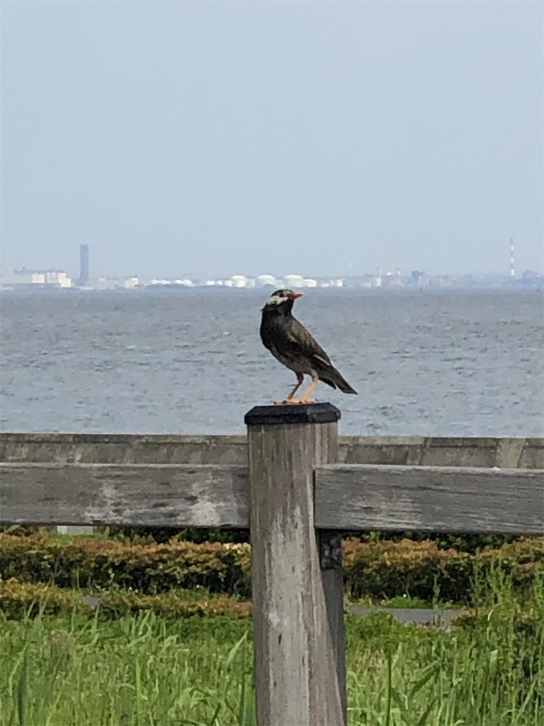 f:id:ABi-R:20210423064417j:image f:id:ABi-R:20210423064417j:image