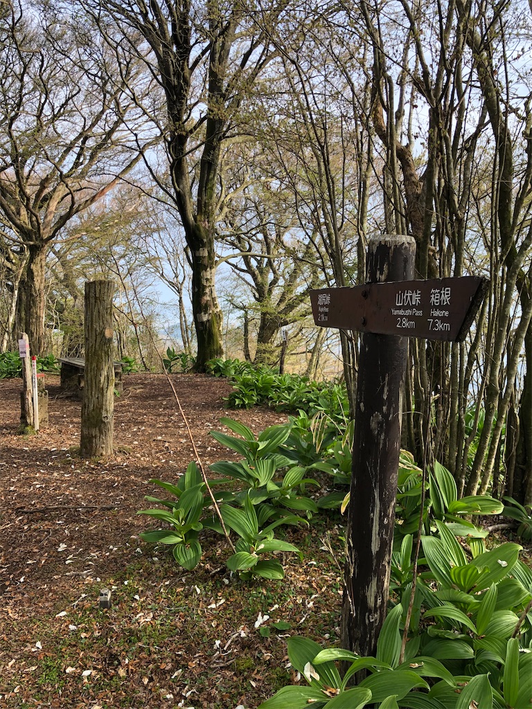 f:id:ABi-R:20210426113224j:image f:id:ABi-R:20210426113224j:image