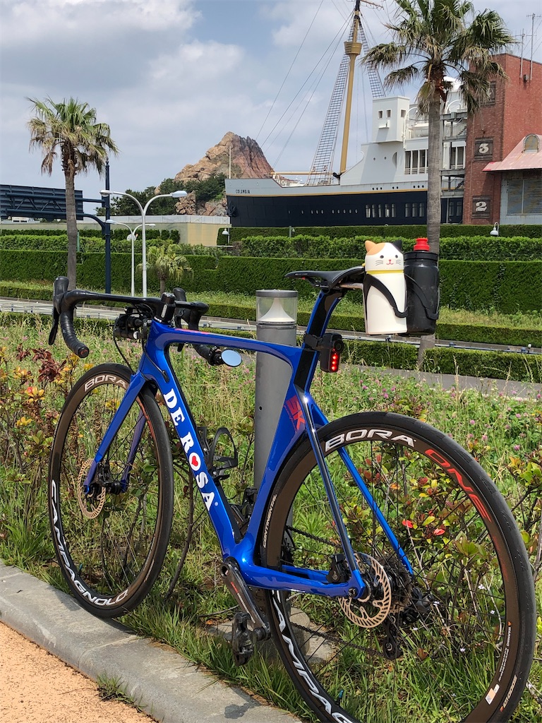 本日のライド 葛西臨海公園 ディズニー周回46km 甘く香るか青いバラ 本日のライド 葛西臨海公園 ディズニー周回46km 甘く香るか青いバラ