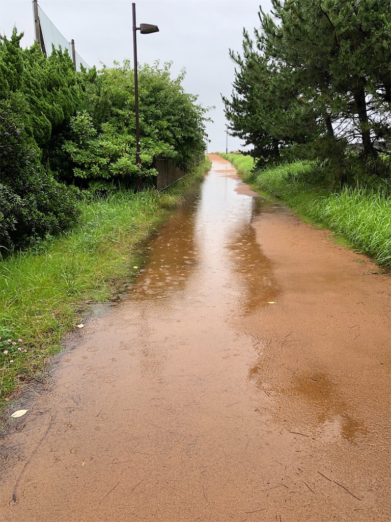 f:id:ABi-R:20210703131332j:image f:id:ABi-R:20210703131332j:image