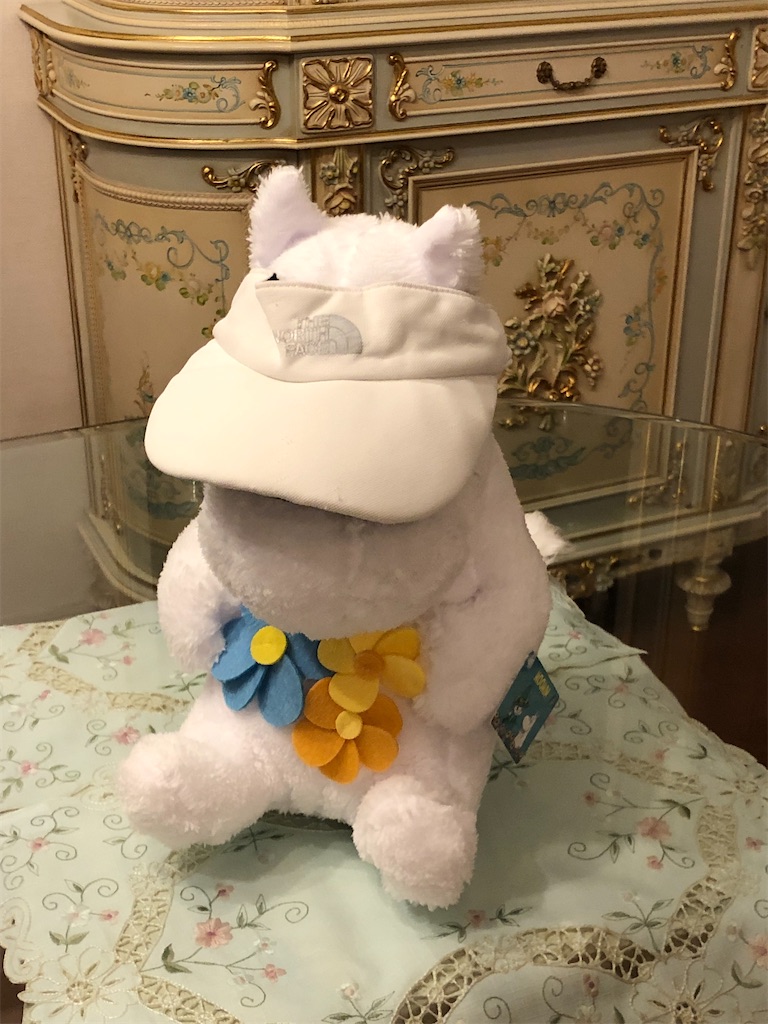 f:id:ABi-R:20210706222921j:image f:id:ABi-R:20210706222921j:image