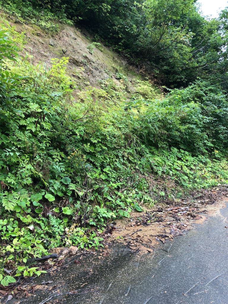 f:id:ABi-R:20210905231840j:image f:id:ABi-R:20210905231840j:image