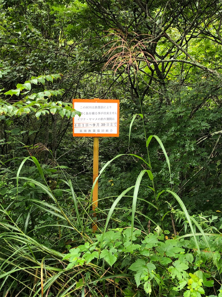 f:id:ABi-R:20210905231843j:image f:id:ABi-R:20210905231843j:image