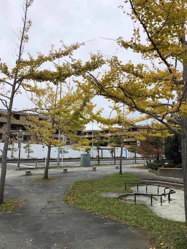 f:id:ABi-R:20211031165852j:image f:id:ABi-R:20211031165852j:image