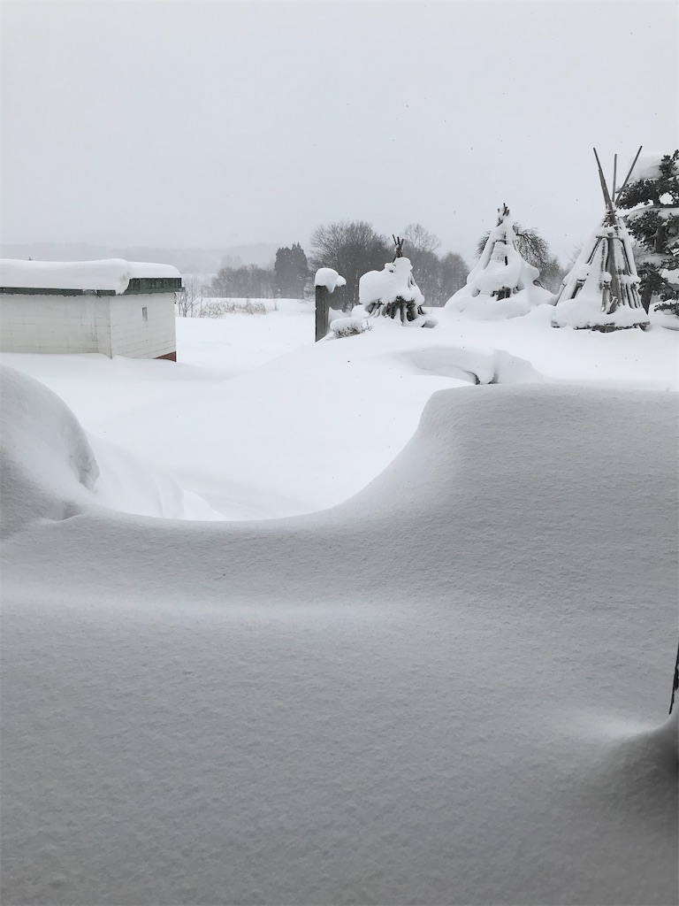 f:id:ABi-R:20220102123507j:image f:id:ABi-R:20220102123507j:image