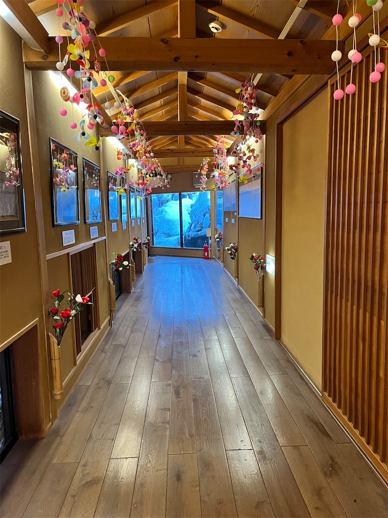 f:id:ABi-R:20220105154243j:image f:id:ABi-R:20220105154243j:image