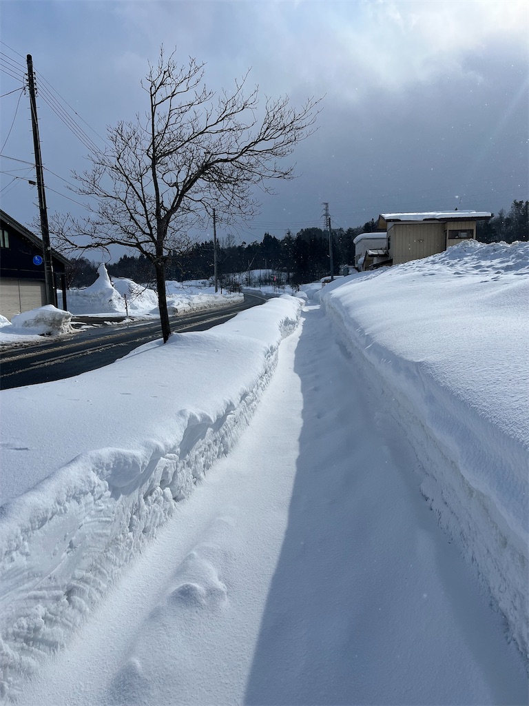 f:id:ABi-R:20220202233920j:image