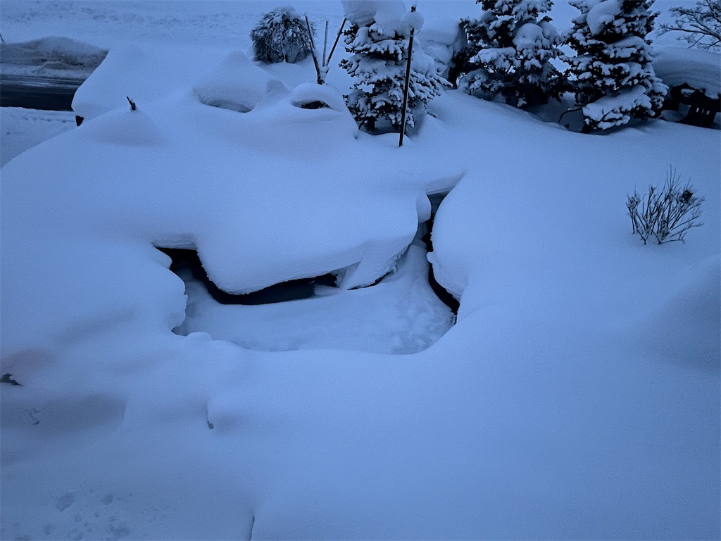 f:id:ABi-R:20220211220027j:image