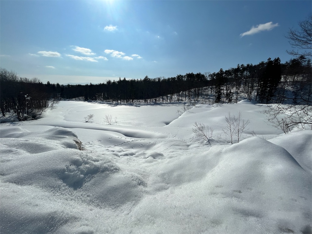 f:id:ABi-R:20220214183303j:image f:id:ABi-R:20220214183303j:image