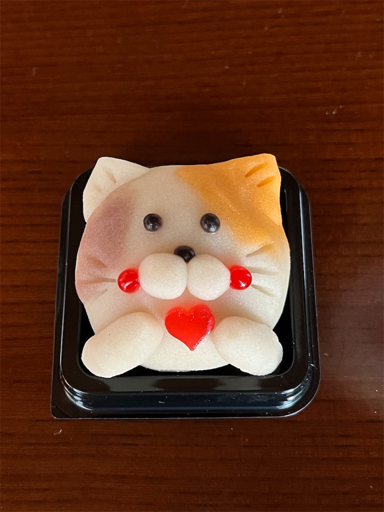 f:id:ABi-R:20220214232958j:image f:id:ABi-R:20220214232958j:image