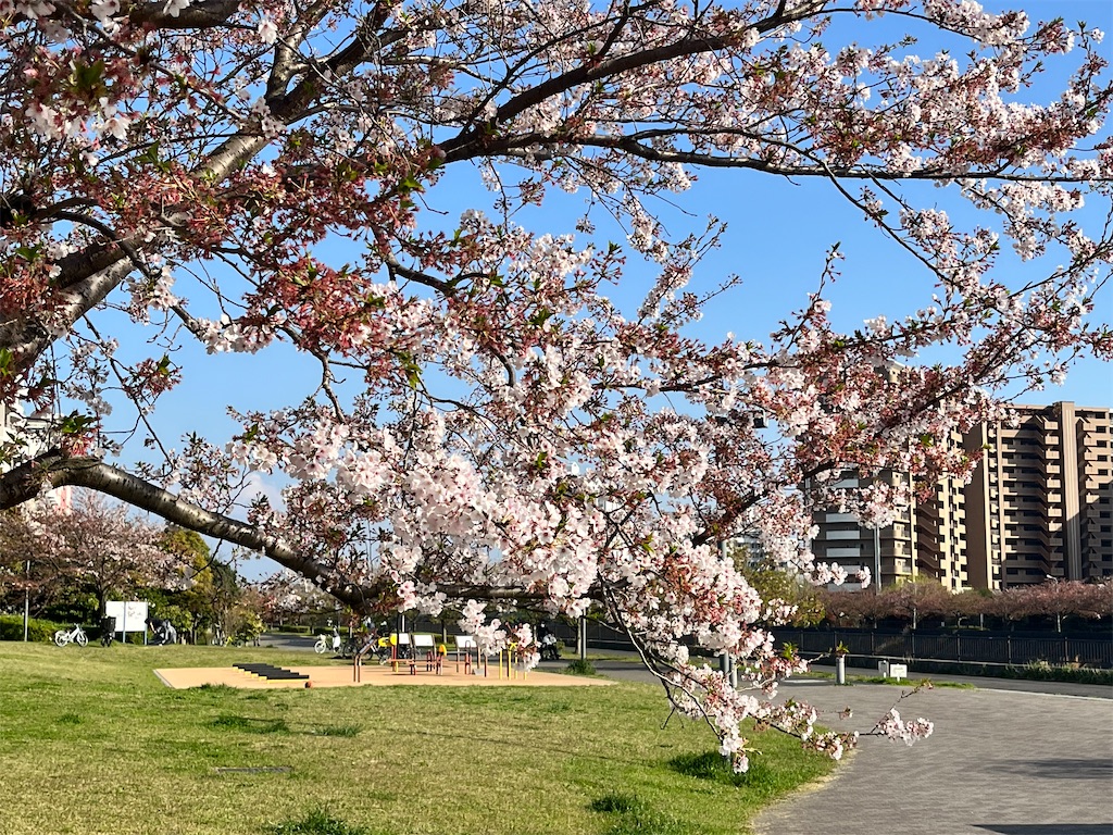 f:id:ABi-R:20220410235909j:image