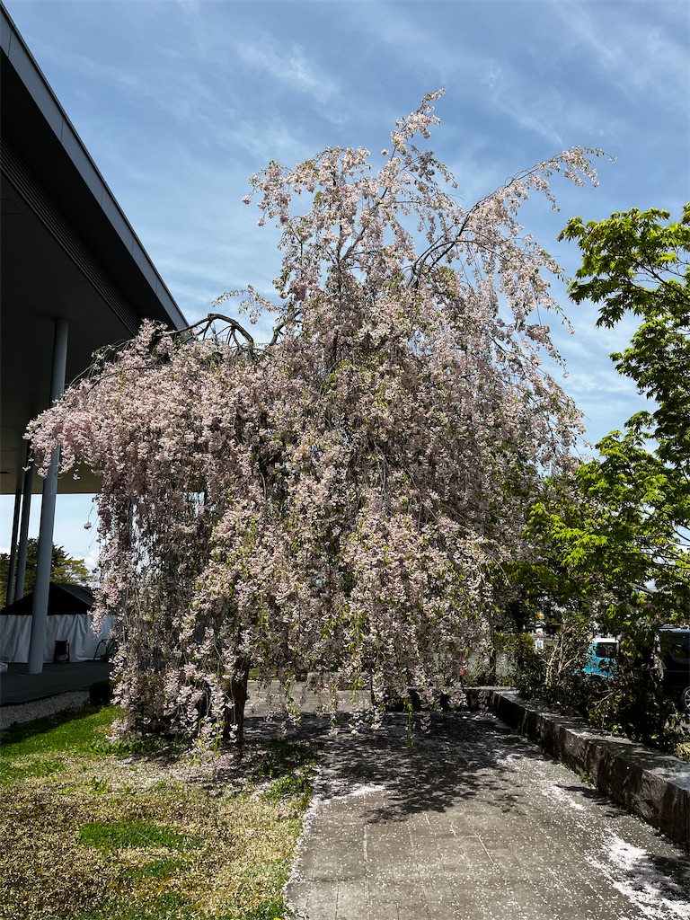 f:id:ABi-R:20220430214516j:image f:id:ABi-R:20220430214516j:image