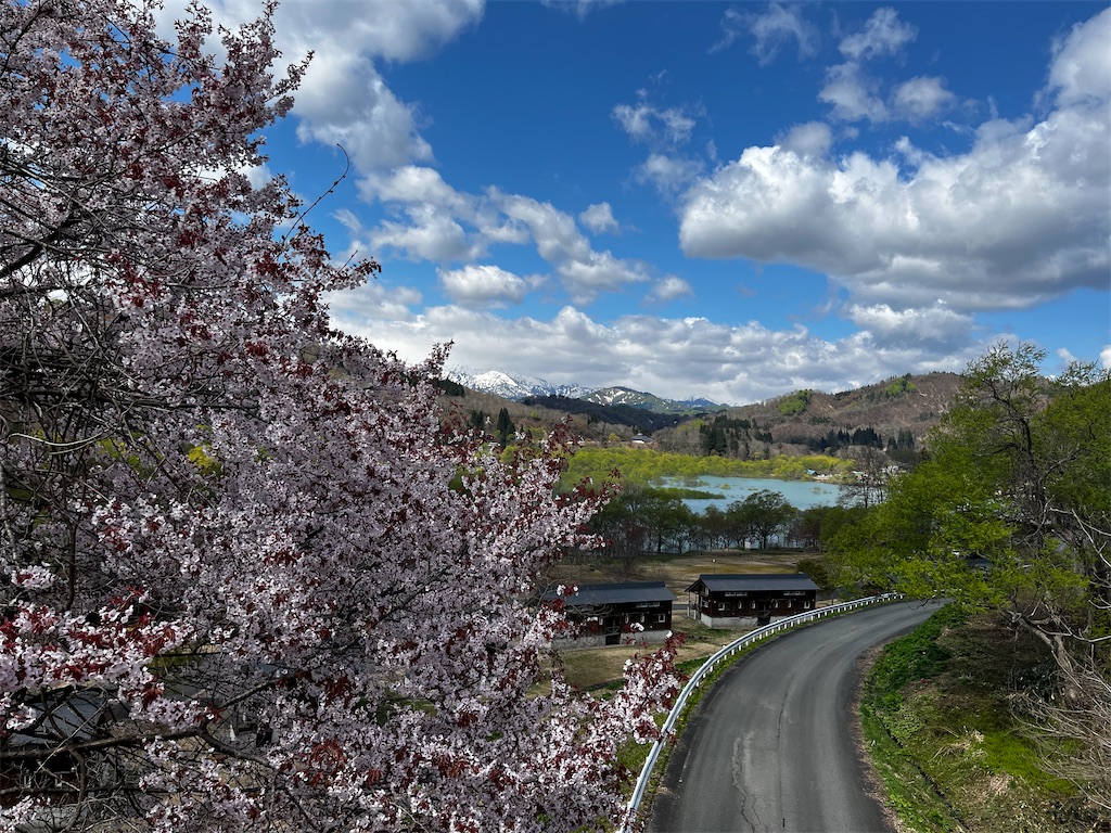 f:id:ABi-R:20220503210209j:image f:id:ABi-R:20220503210209j:image