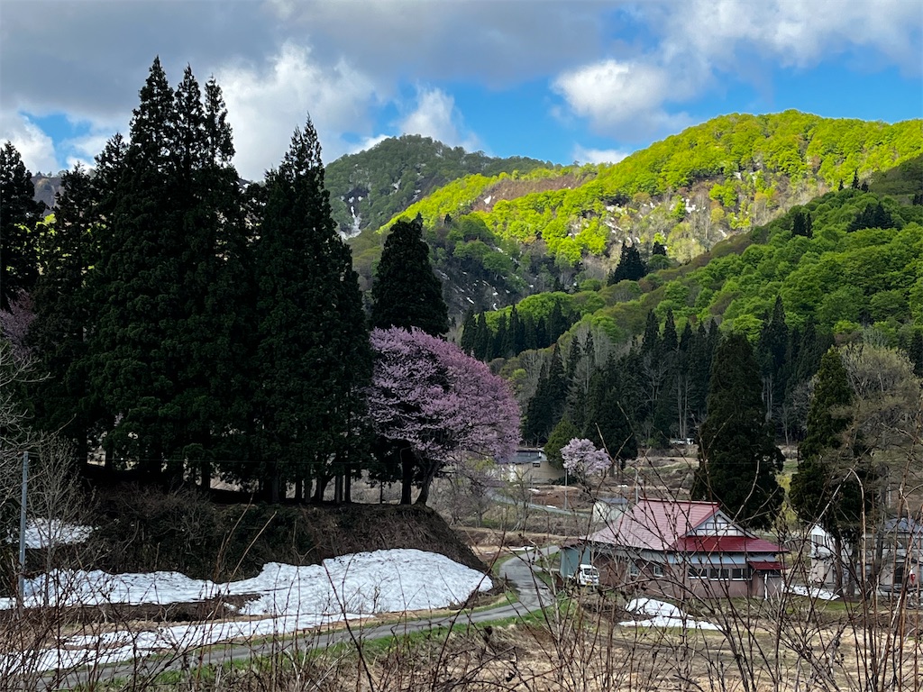 f:id:ABi-R:20220503210212j:image f:id:ABi-R:20220503210212j:image