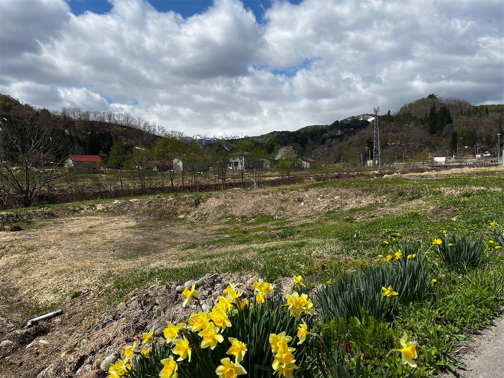 f:id:ABi-R:20220503230018j:image f:id:ABi-R:20220503230018j:image