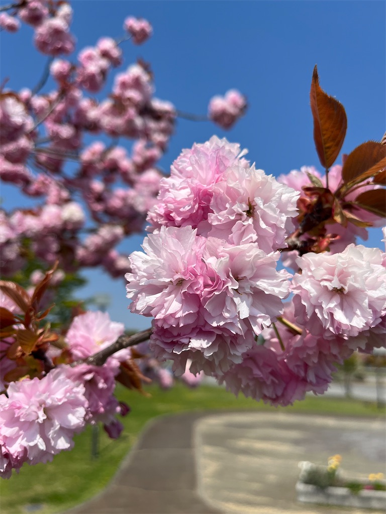 f:id:ABi-R:20220504225105j:image f:id:ABi-R:20220504225105j:image